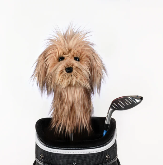 Headcover A Daphne Scruffy Dog